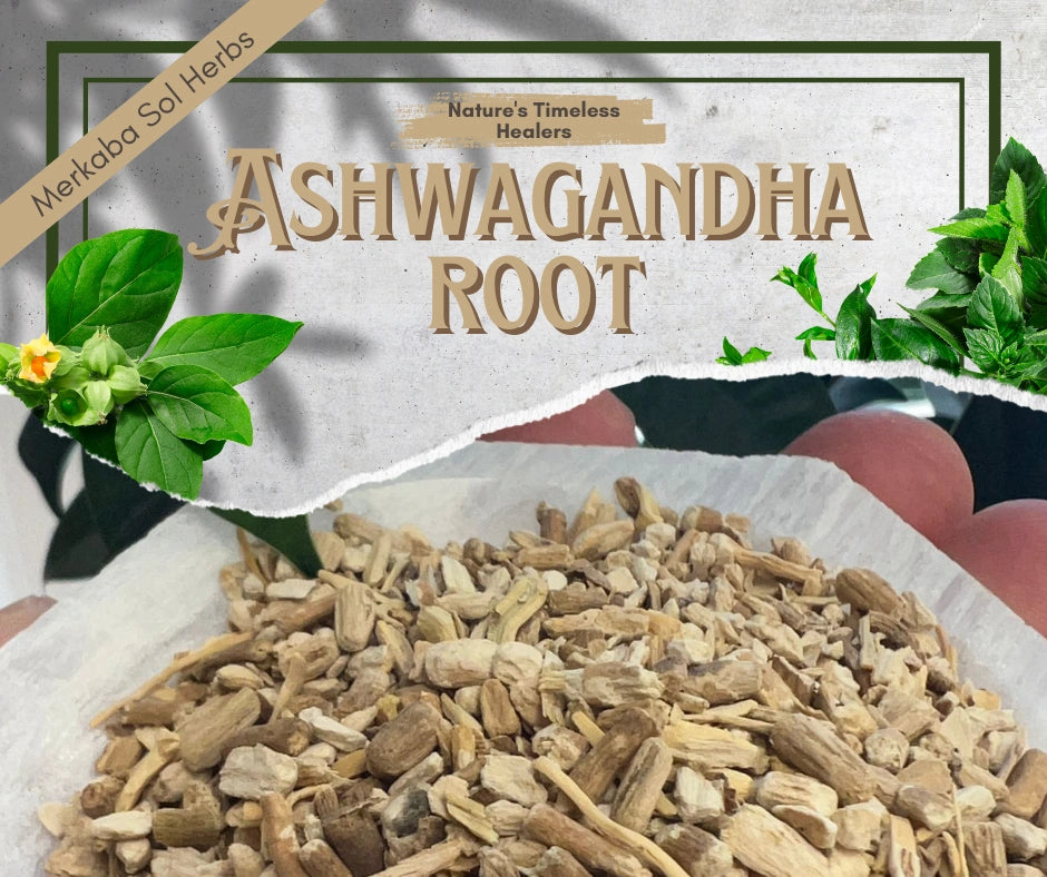 Ashwagandha: The "Indian Ginseng" That's Taking the World by Storm