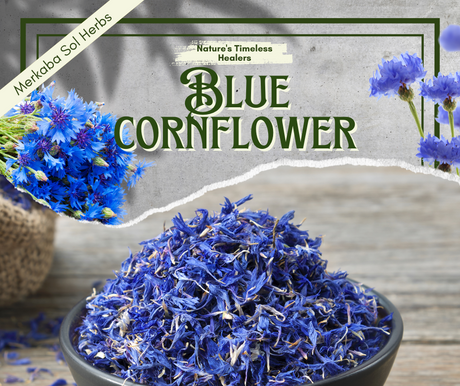 Blue Cornflowers: Nature's Dazzling Blue with Hidden Talents for Health, Flavor, and DIY