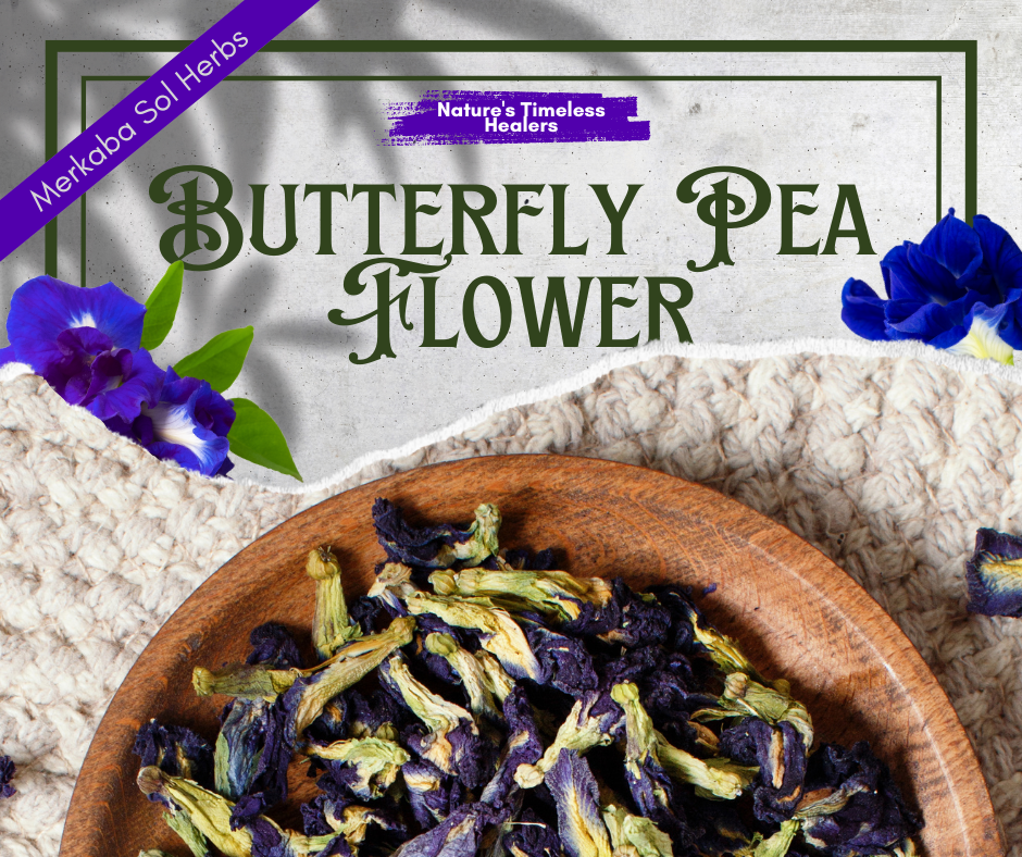 Butterfly Pea Flower: Nature's Elixir