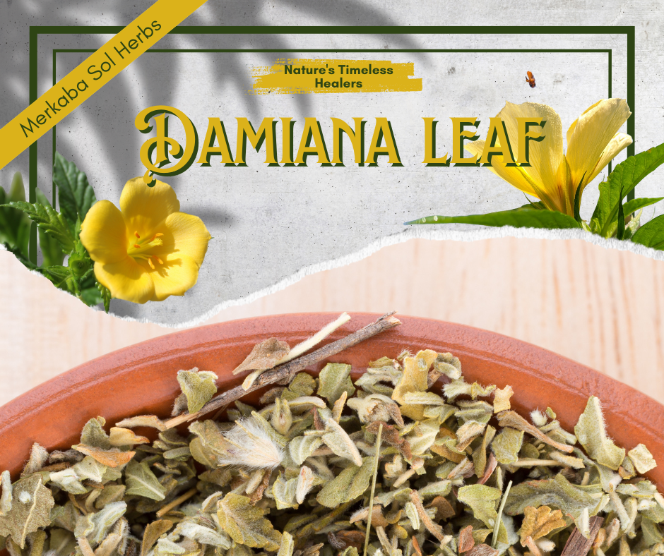 Discovering Damiana Leaf: A Plant with a Rich History and Promising Future