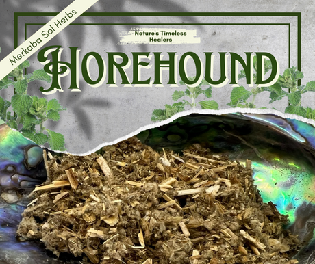 Horehound: Nature’s Bitter Sweetheart