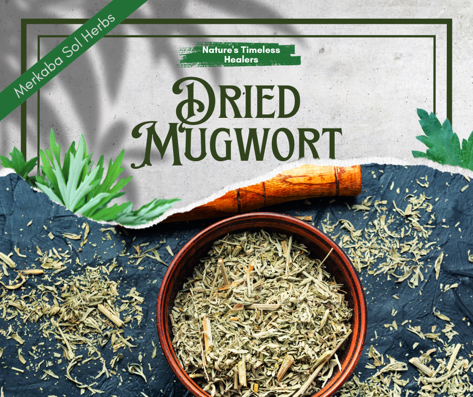 Mugwort: The Herbal Superstar You Didn’t Know You Needed