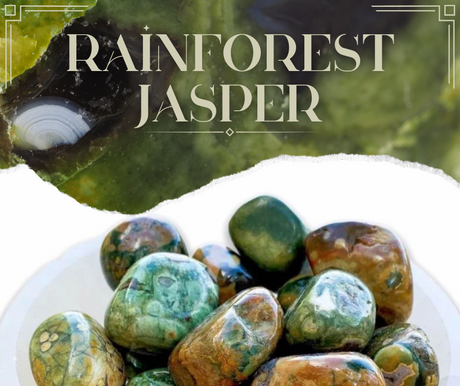 Rainforest Jasper: Nature's Little Green Wonder