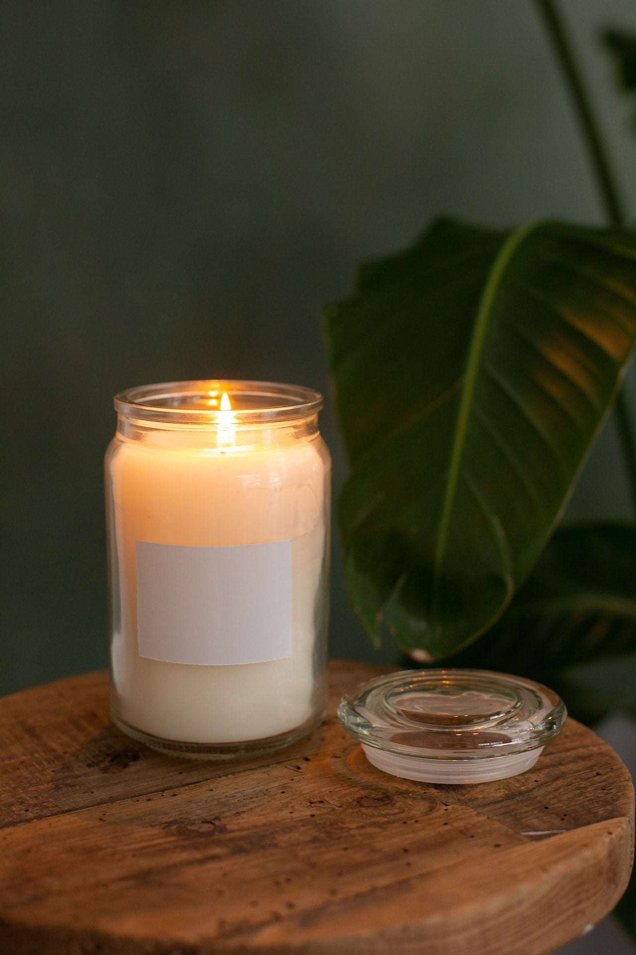 A lit white candle in a glass holder on a round wood table with a green leaf plant to the right.