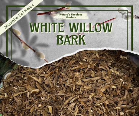 White Willow Bark: Nature’s Answer to Pain Relief and Beyond 🌱