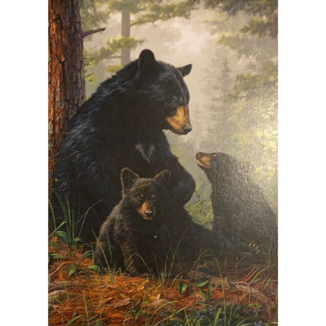 Black bear family greeting card with mother and cubs in forest.