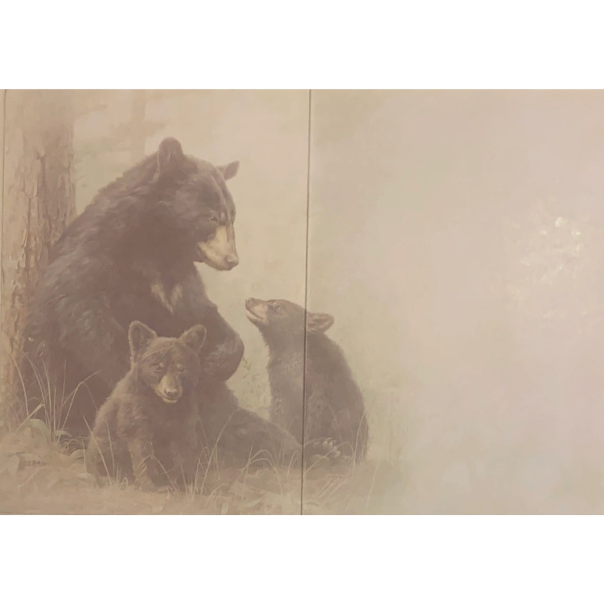 Bear Family Greeting Cards