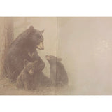 Bear Family Greeting Cards