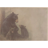 Bear Family Greeting Cards