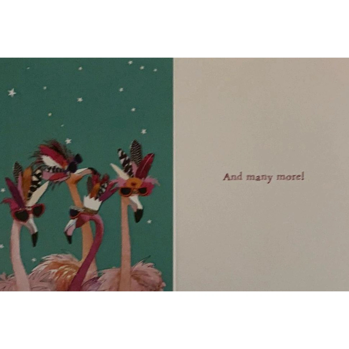 Flocking Birthday Greeting Cards