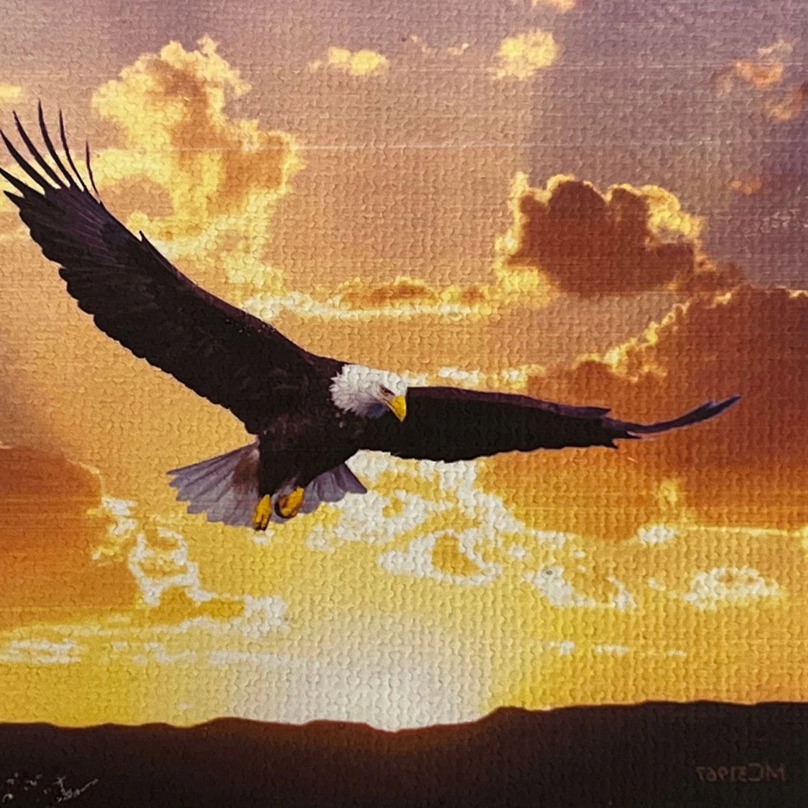 Flying Eagle canvas magnet with a bald eagle soaring through a sunset sky.