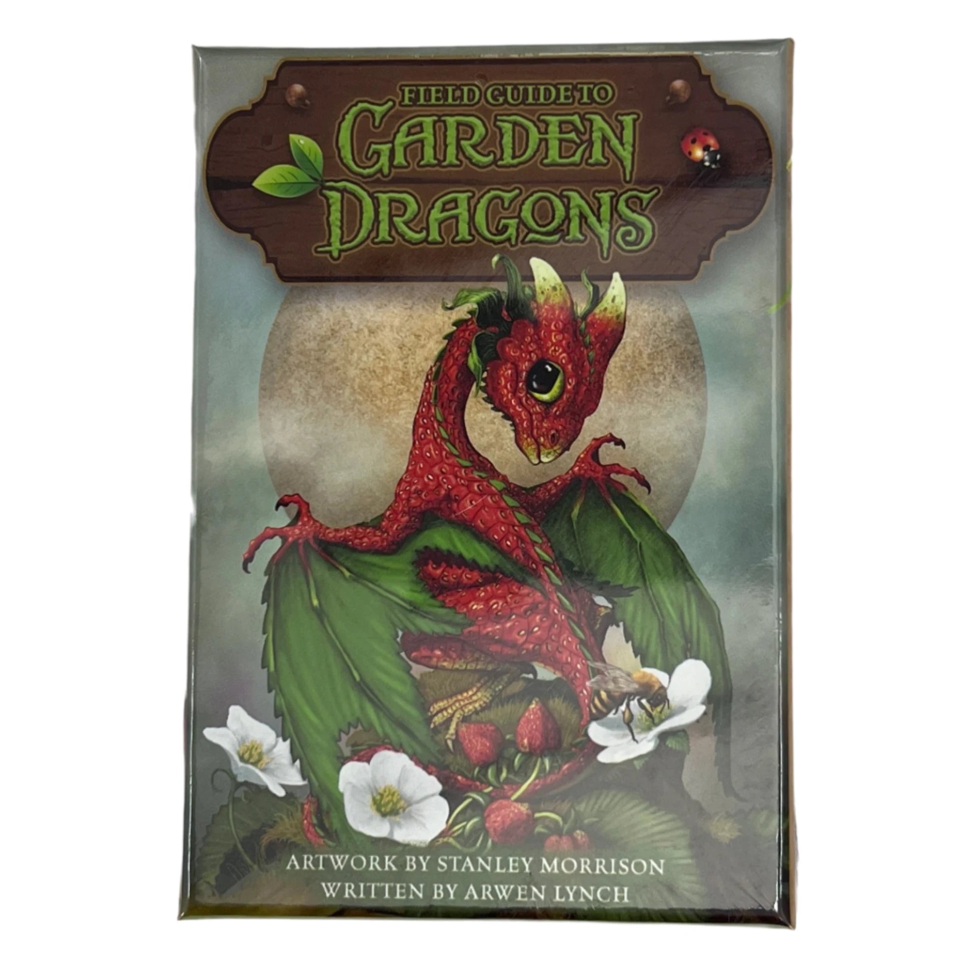 garden dragons oracle cards front of box with dragon on front 