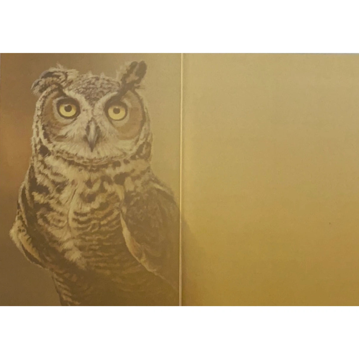 Great Horned Owl All Occasion Greeting Card