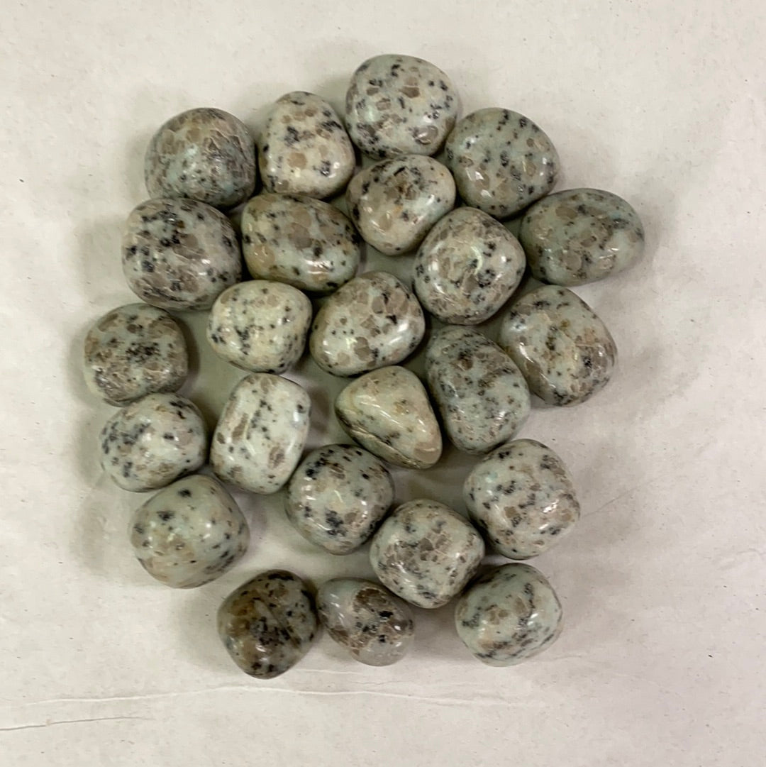 A cluster of tumbled Kiwi Jasper stones with a smooth, polished finish. The stones exhibit a pale green base color with distinctive black flecks resembling sesame seeds, creating a unique and visually appealing pattern.