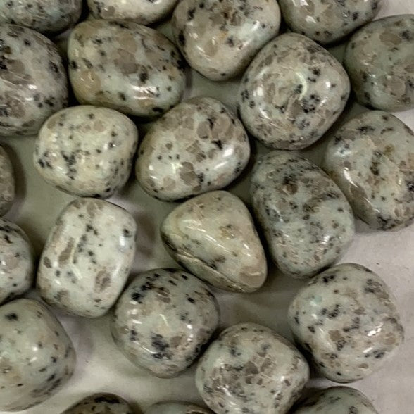 Close-up of a cluster of tumbled Kiwi Jasper stones with a smooth, polished finish. The stones exhibit a pale green base color with distinctive black flecks resembling sesame seeds, creating a unique and visually appealing pattern.