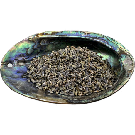 Dried lavender flowers in an abalone shell.