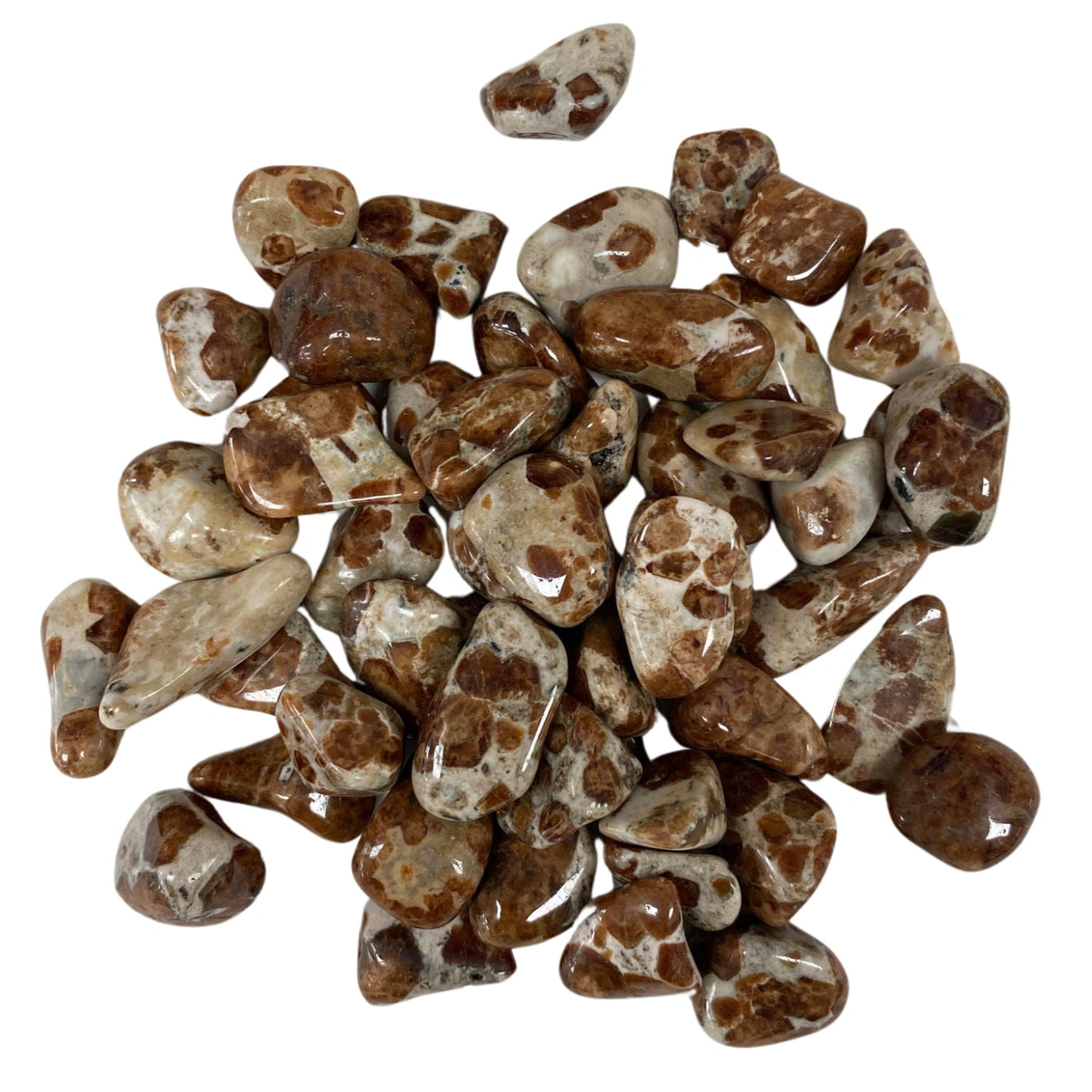 Limestone Garnet Tumbled - A cluster of tumbled Garnet in Limestone stones. The stones feature a contrasting combination of deep red garnet inclusions set within a smooth, pale limestone matrix. The stones have a variety of shapes and sizes with a polished finish.