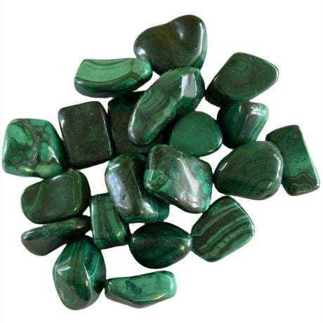 Malachite Tumbled - Polished Malachite stones in vibrant green with darker veins.