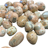 Rhyolite Jasper Tumbled