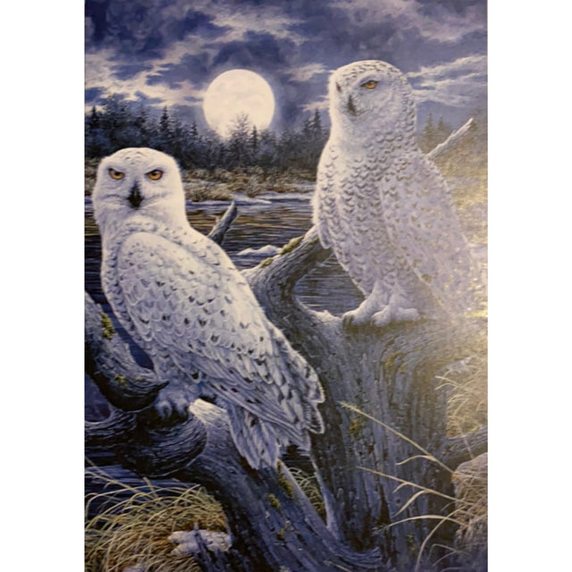 Greeting card featuring two snowy owls perched on a branch, with a full moon and a forest in the background.