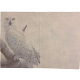 Snowy Owls All Occasion Greeting Cards