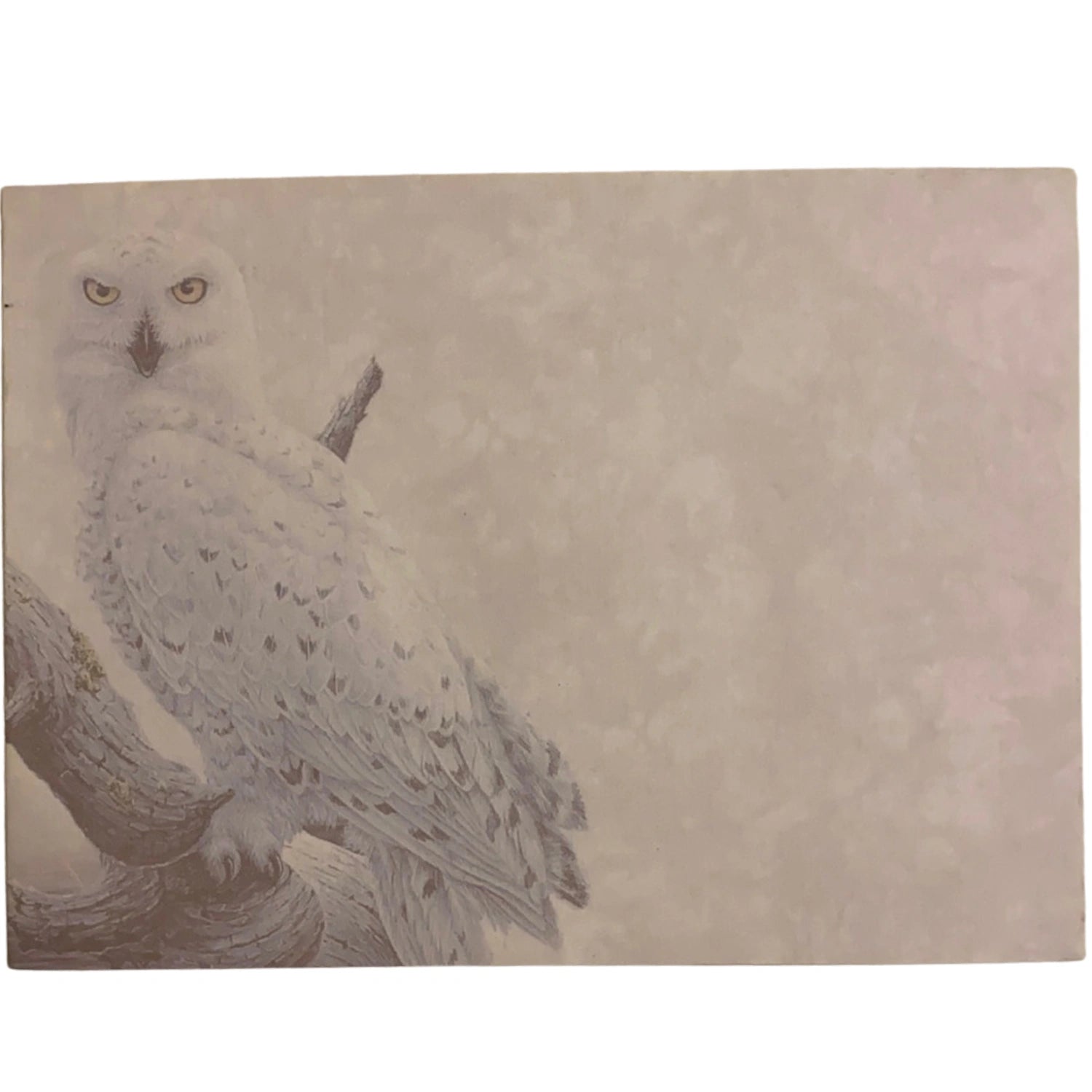 Snowy Owls All Occasion Greeting Cards