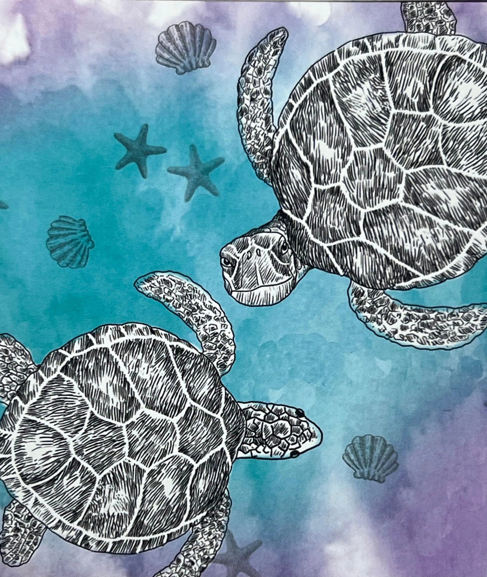 Turtles Magnet with two sea turtles swimming in blue water, surrounded by seashells and starfish.