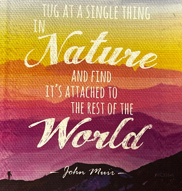 Walk With Nature canvas magnet with inspirational quote by John Muir and a landscape painting.