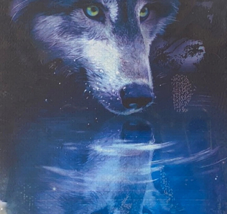 Wolf Reflection canvas magnet with a close-up of a wolf's face staring into a reflective surface.