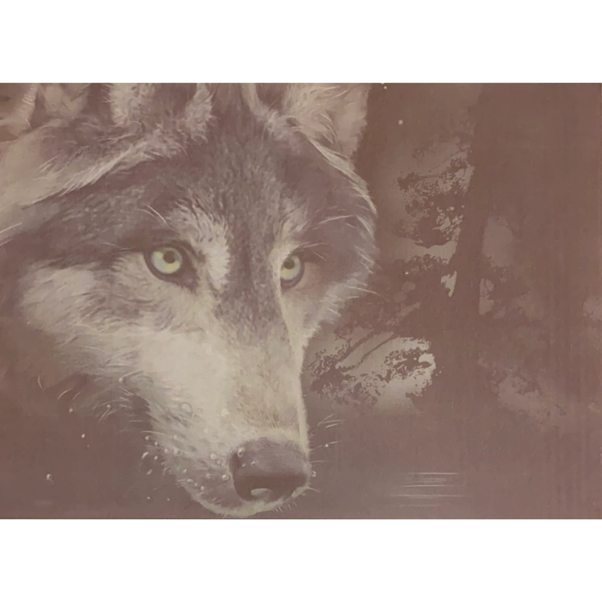 Wolf Reflection All Occasion Greeting Card