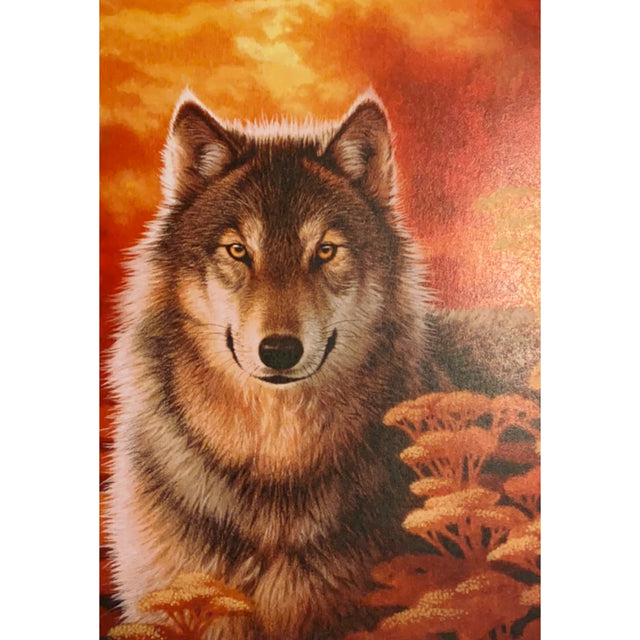 Close-up of a wolf's face with an orange and yellow sunset background.