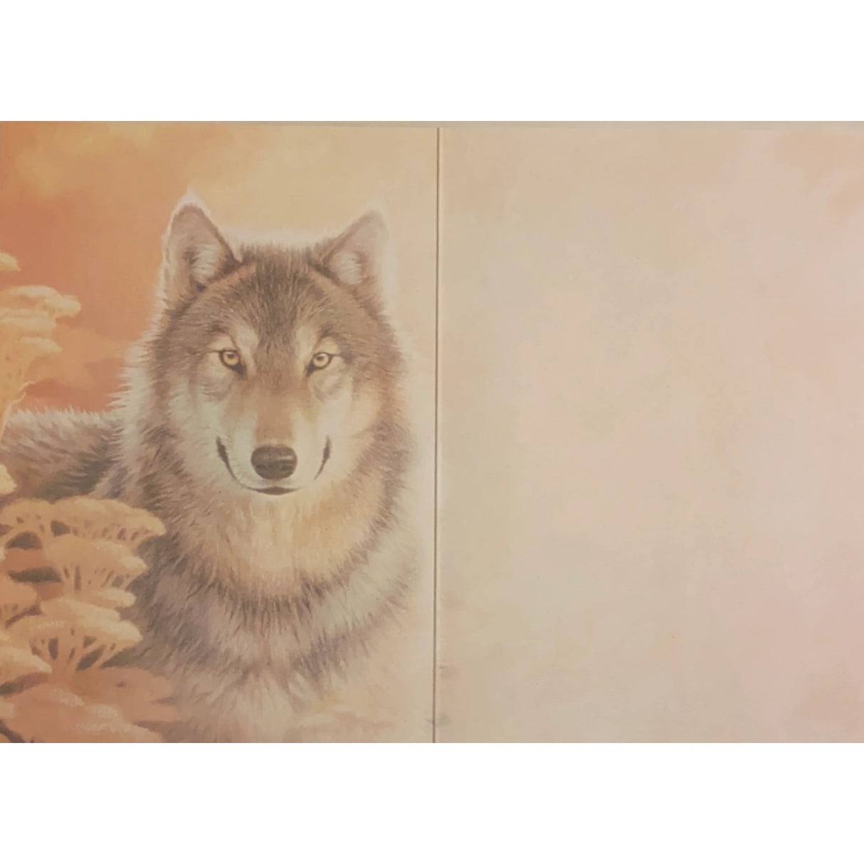 Wolf Vision All Occasion Greeting Card