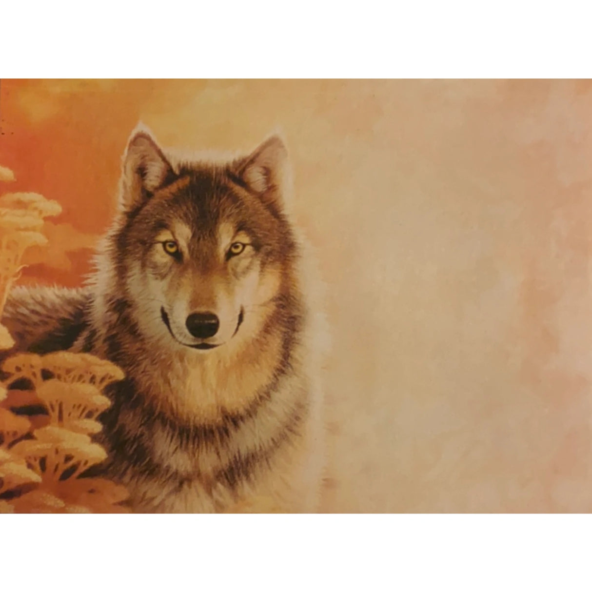 Wolf Vision All Occasion Greeting Card